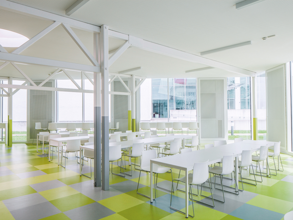 Topné a chladicí stropy Zehnder - komfortní