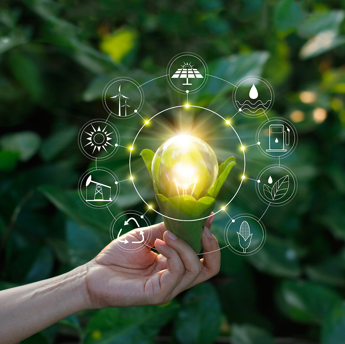 Zehnder_ALL_Energieeffizienz Hand holding light bulb against nature on green leaf with icons energy sources for renewable, sustainable development. Ecology concept. Elements of this image furnished by NASA.