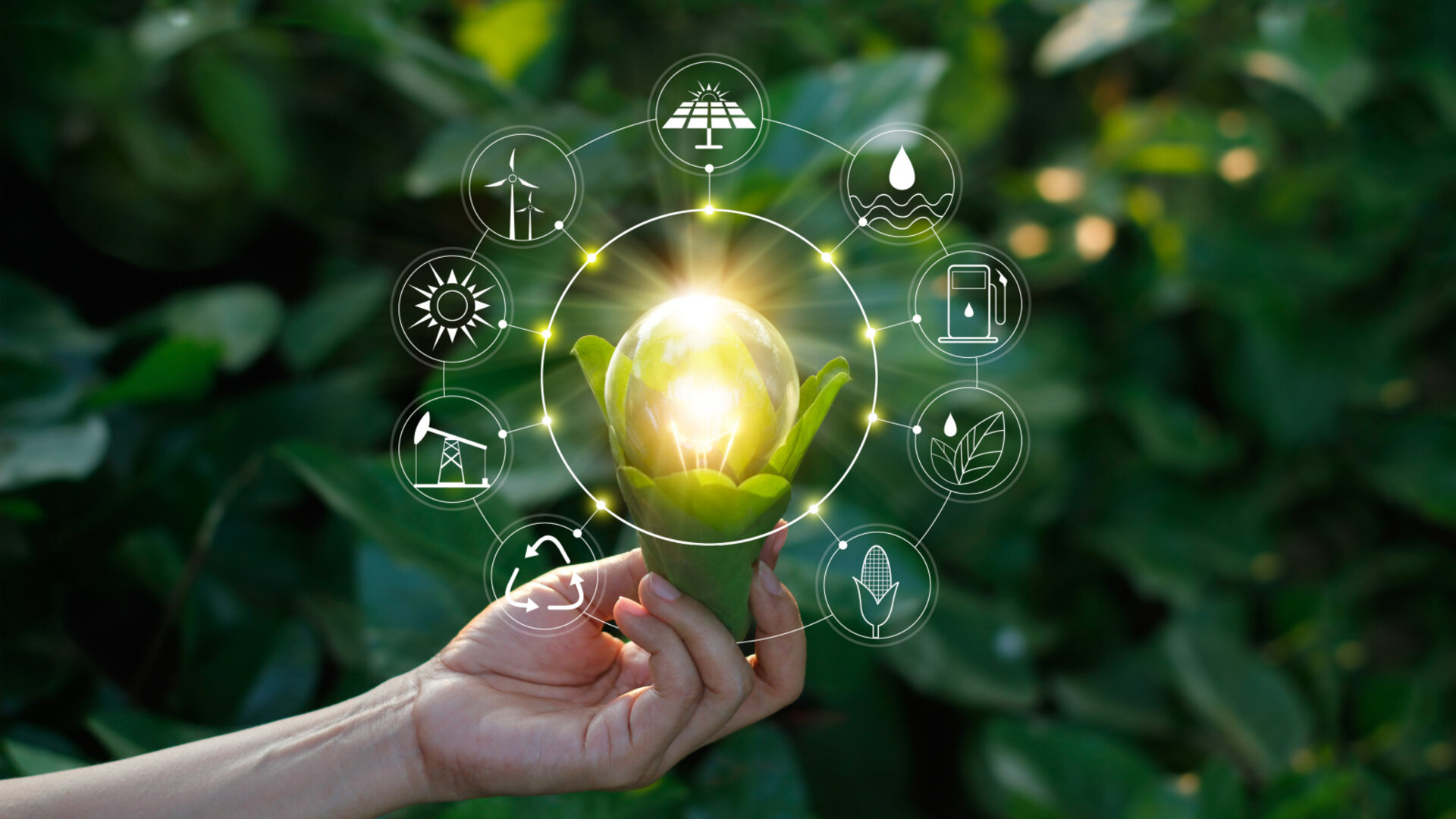 Hand holding light bulb against nature on green leaf with icons energy sources for renewable, sustainable development. Ecology concept. Elements of this image furnished by NASA.