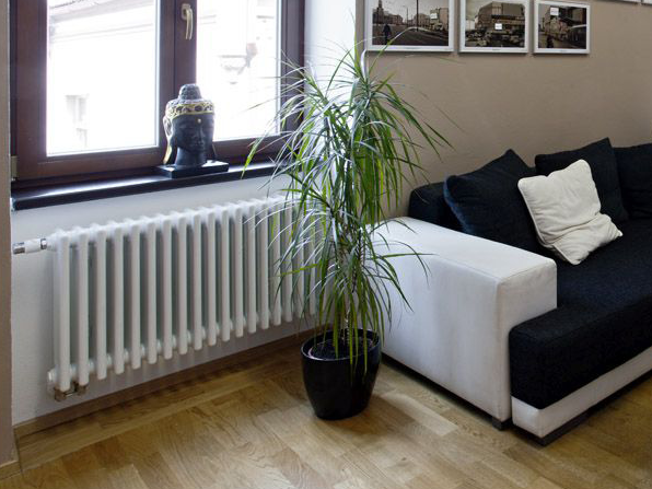 Zehnder_RAD-Charleston-Reference-Villa-Libuse-004